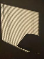 IMG_20200208_153048430.jpg