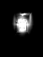 0BB9D373-163C-4687-97BF-4D976DFF8EDB.jpeg