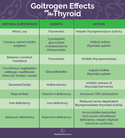 Goitrogen-Effects-On-The-Thyroid21.png