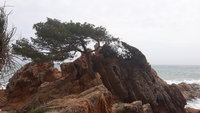 20190425_125108.jpg