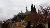 20190412_141358.jpg