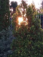 IMG_20181010_065947984.jpg