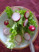 IMG_20200322_130417286.jpg