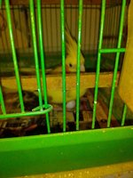 IMG_20200324_221336.jpg