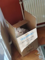 boxes.jpg