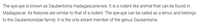 ice_screenshot_20200330-203924.png