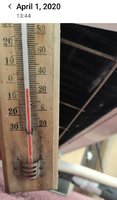 IMG_20200401_134549.jpg