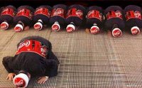 126788_110270725_Coca Cola.jpg