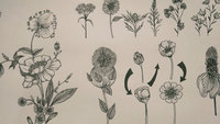 Polish_20200415_220137996.jpg