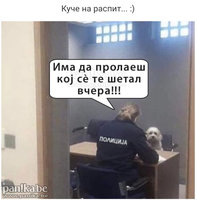 Screenshot_20200417-134425_Chrome.jpg