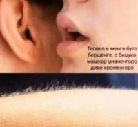 FB_IMG_1587062507851.jpg