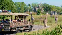 disney-animal-kingdom-overview-33.jpg