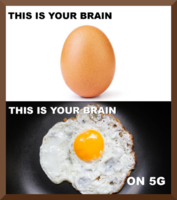 5G memes.png