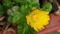 20200423_133202.jpg
