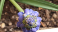20200410_150052.jpg