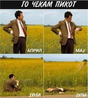 Co cekam pikot.jpg