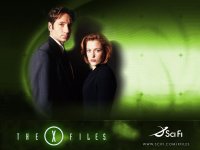 The-X-Files-the-x-files-79183_1024_768.jpg