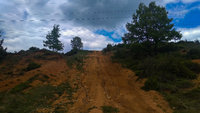 IMG_20200507_145936.jpg