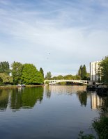 IMG_20200509_193725.jpg