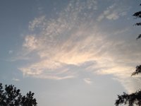 IMG_20200511_193730919.jpg