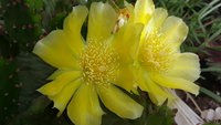 20200609_143431.jpg