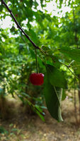 IMG_20200620_134049.jpg