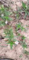 20200623_140145.jpg