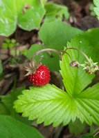 20200628_214709.jpg