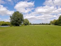 IMG_20200705_155329.jpg