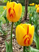 20190421_115948.jpg