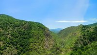 IMG_20200713_120634 (1)_compress33.jpg