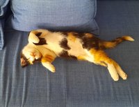 20200721_121855.jpg