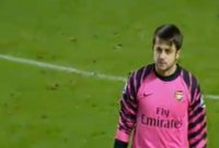 Fabianski.jpg