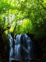 Koleshino_Waterfall_,_27.JPG