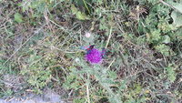 20200724_180929.jpg