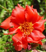 20200803_133259.jpg