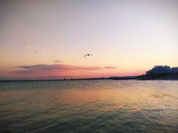 IMG_20200813_200855.jpg