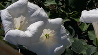 20200822_093708.jpg