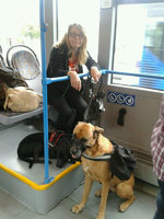 IMG-20131115-WA0003.jpg