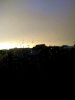 IMG_20200822_201758.jpg