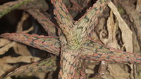 20200907_182132.jpg
