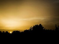 IMG_20200913_125647.jpg