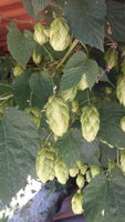 20200913_121659.jpg