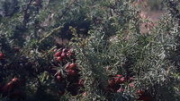 20200910_102407.jpg
