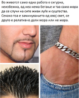 ффгфхгфхф.png