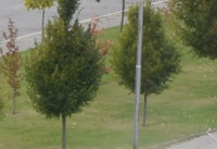 2-d5300.jpg