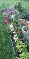 20201002_175447.jpg