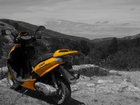 IMG_1011.jpg