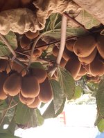 20201029_115415.jpg