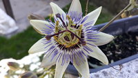20201106_135639.jpg